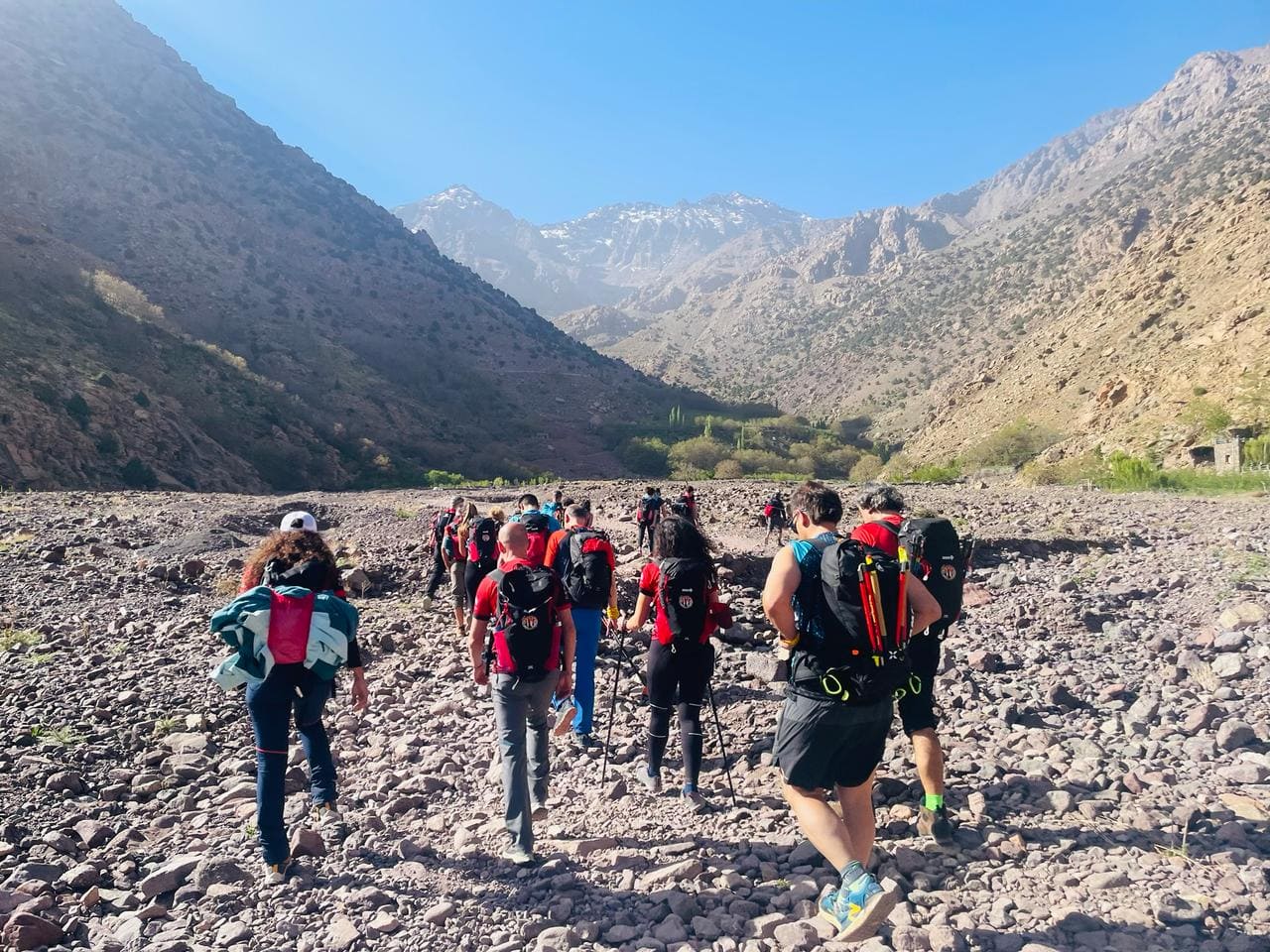 Imagen de la reseña